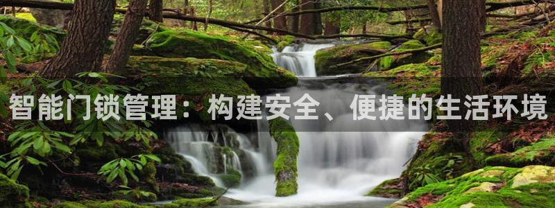 联富市场娱乐园：智能门锁管理：构建安全、便捷的生活环境