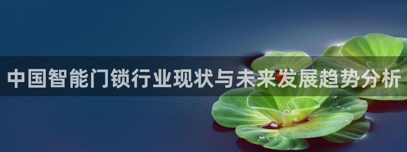 富联娱乐登录链接在哪看：中国智能门锁行业现状与未来发展趋势分