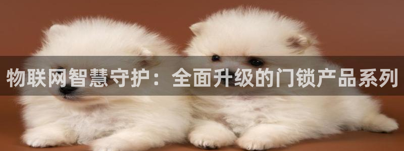 富联娱乐轻7O777：物联网智慧守护：全面升级的门锁产品系列