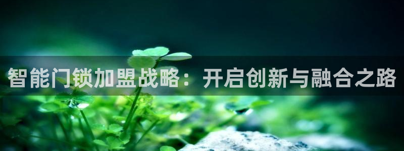 富联娱乐平台招商：智能门锁加盟战略：开启创新与融合之路
