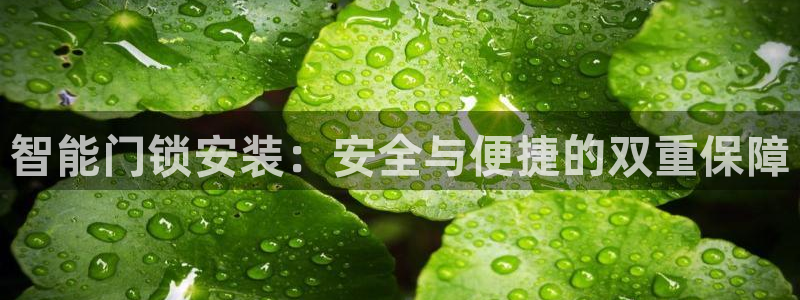 富联娱乐主营业务是什么：智能门锁安装：安全与便捷的双重保障