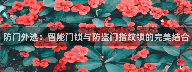 富联娱乐首页网站入口：防门外逃：智能门锁与防盗门指纹锁的完美