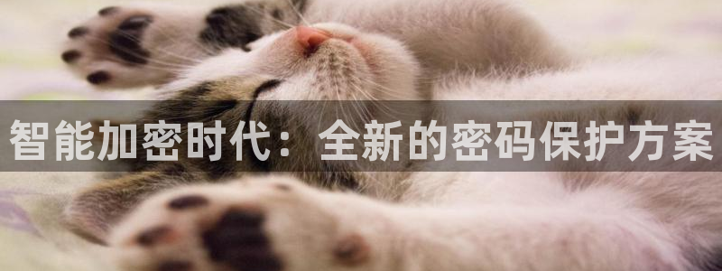 富联娱乐qv87555：智能加密时代：全新的密码保护方案
