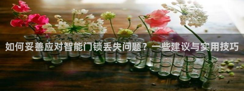 富联娱乐官方网站入口在线观看：如何妥善应对智能门锁丢失问题？