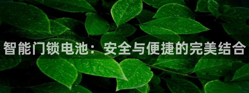 富联娱乐找527b.cn升哥：智能门锁电池：安全与便捷的完美