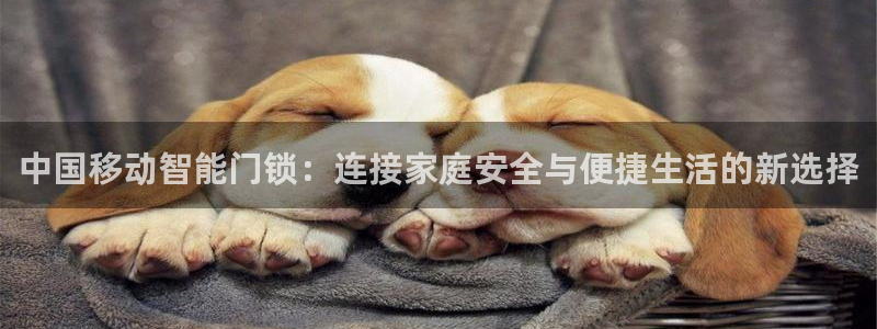 富联娱乐总裁简介资料大全：中国移动智能门锁：连接家庭安全与便