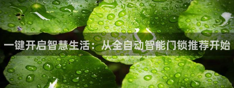 富联娱乐公司简介怎么写：一键开启智慧生活：从全自动智能门锁推