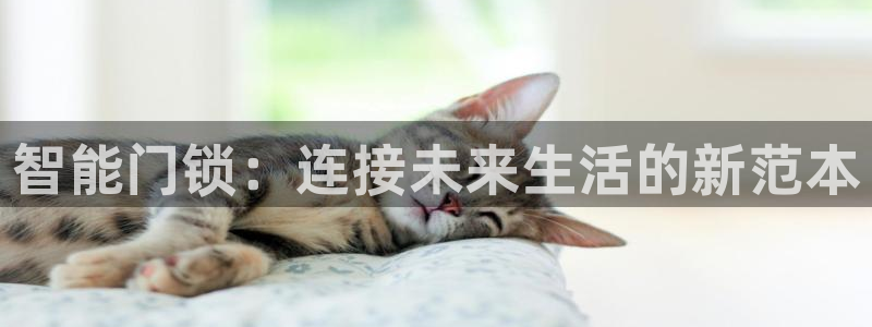 富联娱乐主管述判官333OO：智能门锁：连接未来生活的新范本