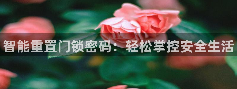 富联娱乐主营业务有哪些：智能重置门锁密码：轻松掌控安全生活