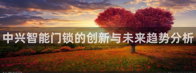 富联2娱乐资讯官网：中兴智能门锁的创新与未来趋势分析