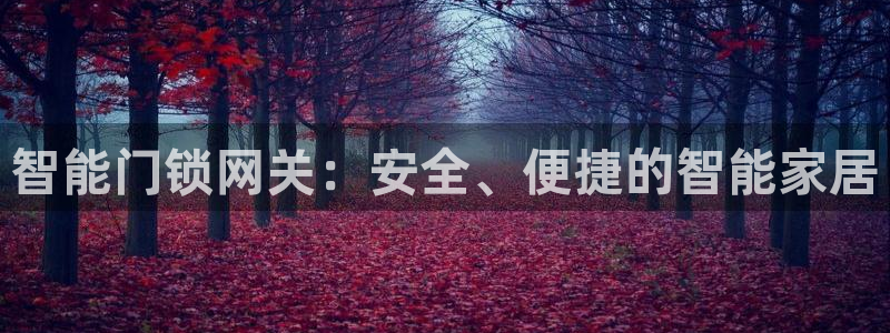富联娱乐账号注册不了：智能门锁网关：安全、便捷的智能家居