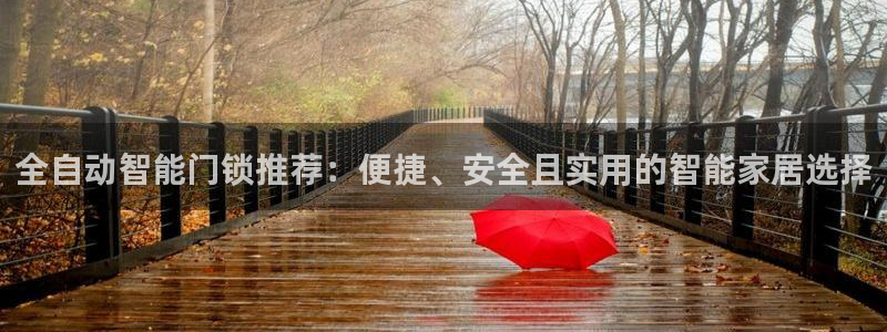 富联娱乐在线官网下载：全自动智能门锁推荐：便捷、安全且实用的