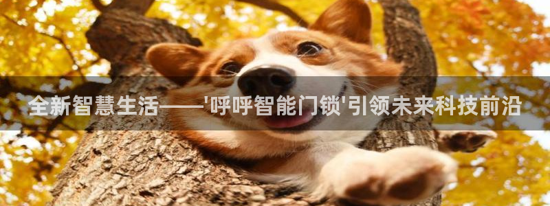富联娱乐总代理是谁：全新智慧生活——\'呼呼智能门锁\'引领