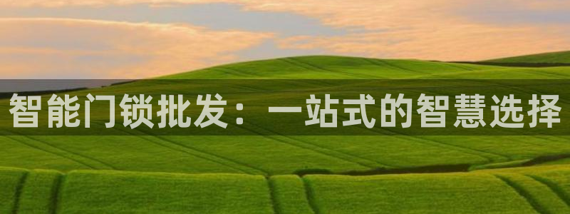 富联娱乐招商掉判官333OO：智能门锁批发：一站式的智慧选择
