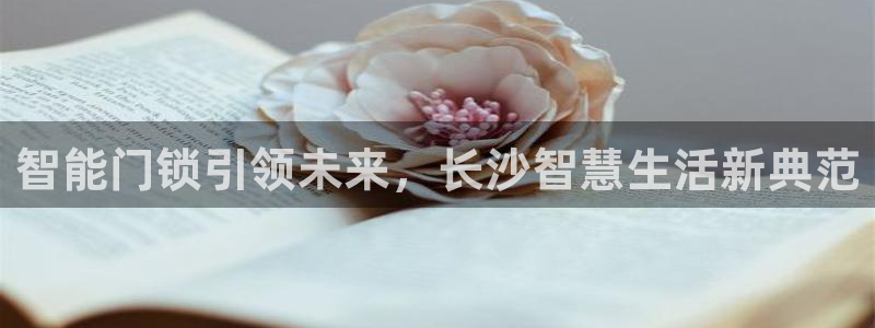 富联娱乐测速地址：智能门锁引领未来，长沙智慧生活新典范