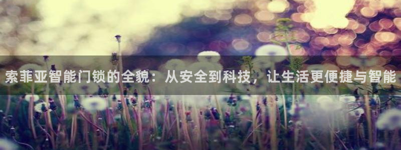 富联娱乐主管去天神779O3：索菲亚智能门锁的全貌：从安全到