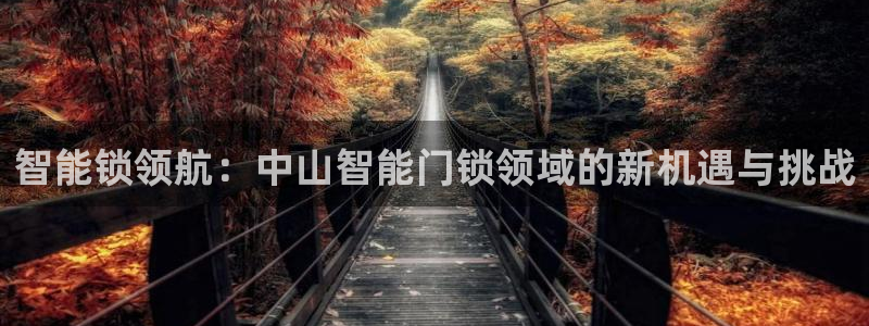 富联娱乐招商置判官333OO：智能锁领航：中山智能门锁领域的