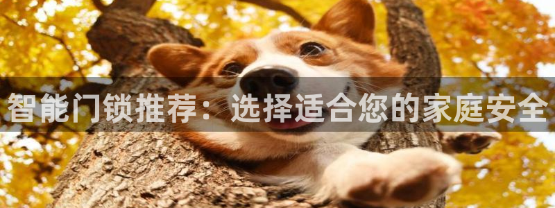 富联娱乐平台特点和优势：智能门锁推荐：选择适合您的家庭安全