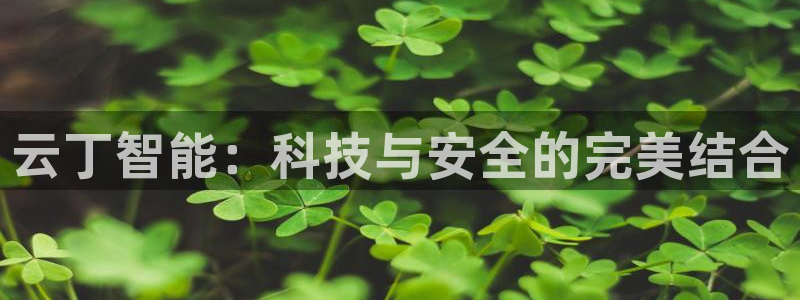 富联娱乐主管是谁啊老板：云丁智能：科技与安全的完美结合