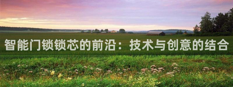 富联娱乐整7O777：智能门锁锁芯的前沿：技术与创意的结合