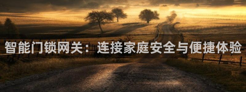 富联娱乐向5o69I7：智能门锁网关：连接家庭安全与便捷体验
