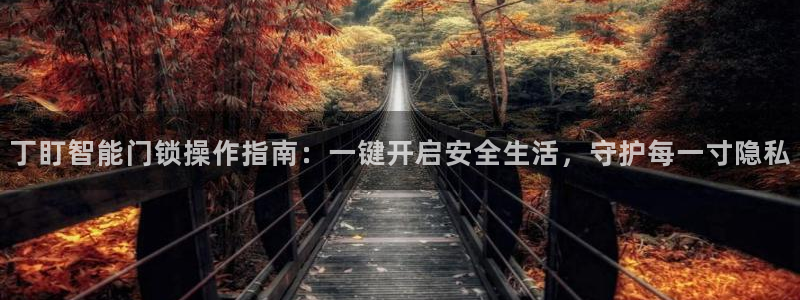 富联娱乐测速地址在哪查：丁盯智能门锁操作指南：一键开启安全生