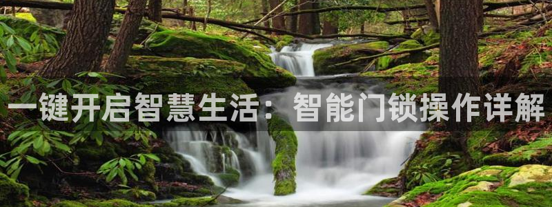 富联娱乐招商会判官333OO：一键开启智慧生活：智能门锁操作