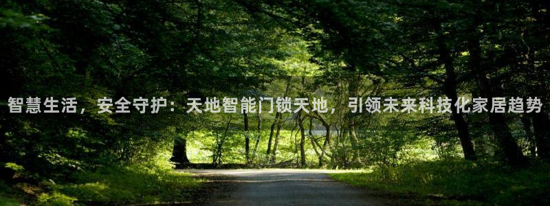 富联娱乐官方app下载：智慧生活，安全守护：天地智能门锁天地