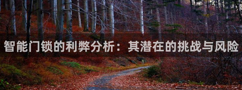 富联娱乐正规吗可靠吗：智能门锁的利弊分析：其潜在的挑战与风险