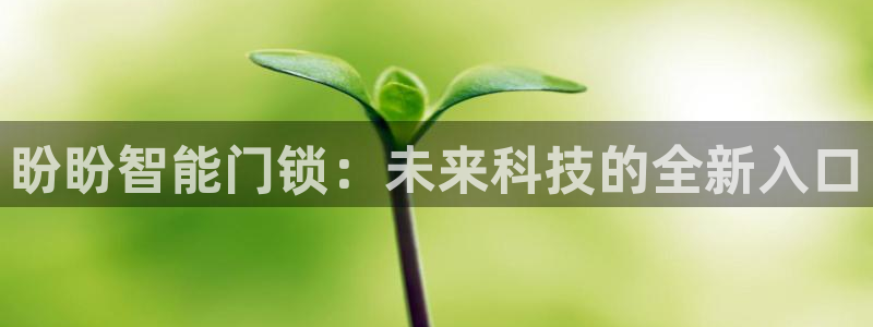 富联娱乐官网登录入口：盼盼智能门锁：未来科技的全新入口