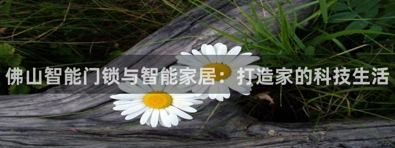 富联娱乐代理是谁：佛山智能门锁与智能家居：打造家的科技生活