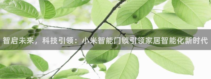 富联娱乐招商前原判官333OO：智启未来，科技引领：小米智能