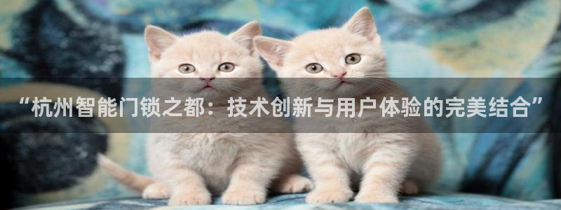 富联娱乐女团排名多少名：“杭州智能门锁之都：技术创新与用户体