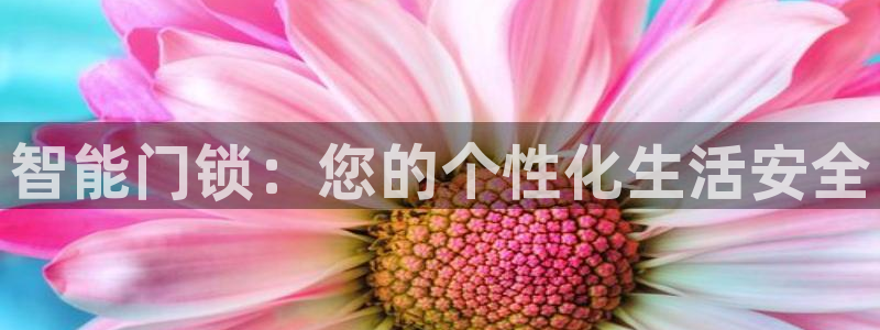 富联娱乐元哥简介图片：智能门锁：您的个性化生活安全