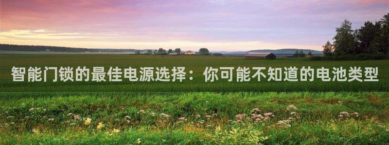 嘉峪关富联娱乐平台电话：智能门锁的最佳电源选择：你可能不知道