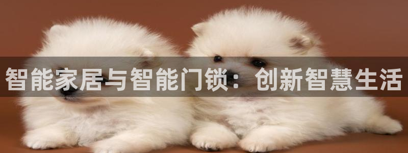 富联娱乐招商互判官333OO：智能家居与智能门锁：创新智慧生