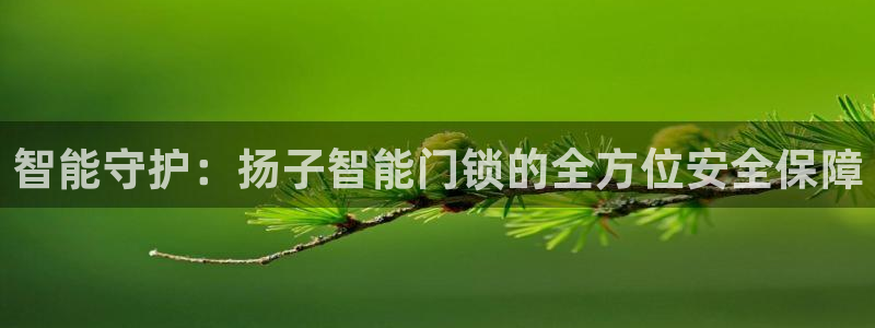 富联娱乐在线注册链接怎么弄：智能守护：扬子智能门锁的全方位安