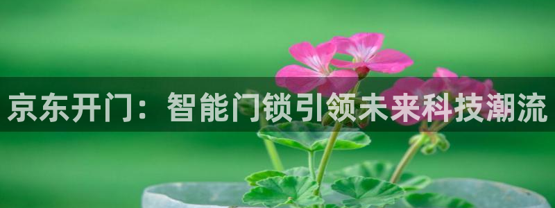 富联2娱乐资讯官网首页：京东开门：智能门锁引领未来科技潮流