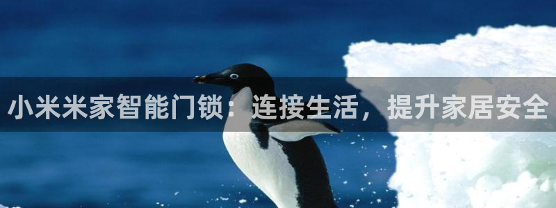 富联娱乐招商咱7O777：小米米家智能门锁：连接生活，提升家