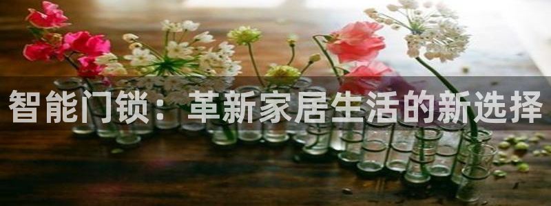 富联娱乐招商后原判官333OO：智能门锁：革新家居生活的新选