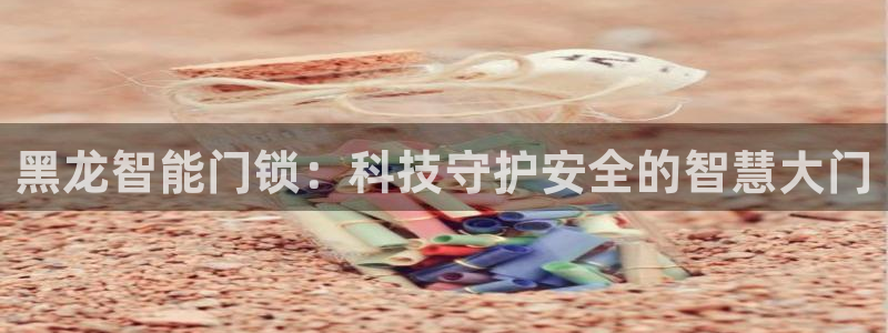 富联娱乐元哥简介图片：黑龙智能门锁：科技守护安全的智慧大门
