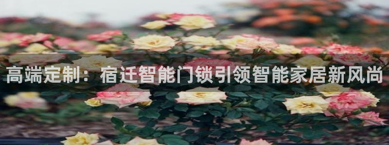 富联娱乐平台登录地址在哪里看：高端定制：宿迁智能门锁引领智能