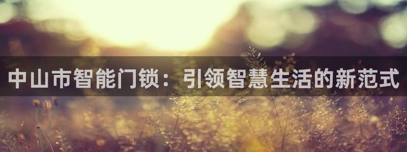 富联2娱乐：中山市智能门锁：引领智慧生活的新范式