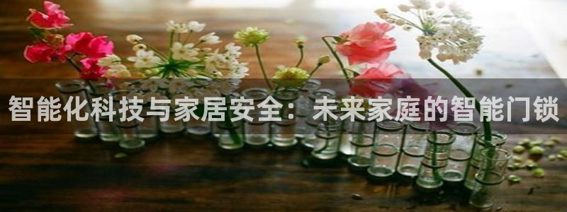 富联娱乐平台招商：智能化科技与家居安全：未来家庭的智能门锁
