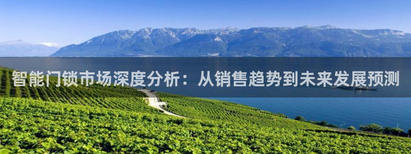 富联娱乐首页网址：智能门锁市场深度分析：从销售趋势到未来发展