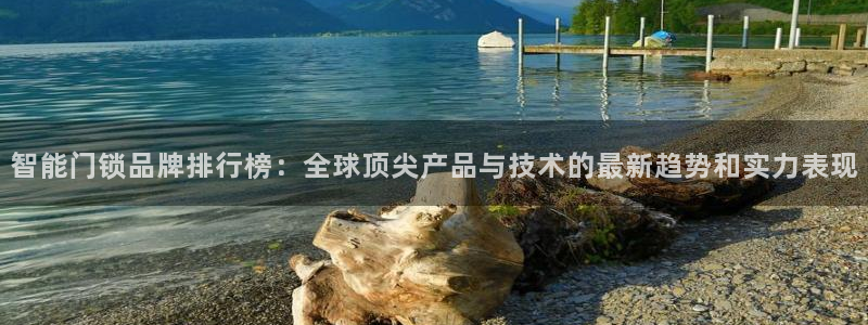 嘉峪关富联娱乐平台招聘：智能门锁品牌排行榜：全球顶尖产品与技