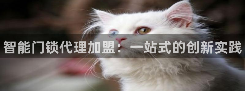 龙华富联新村娱乐：智能门锁代理加盟：一站式的创新实践