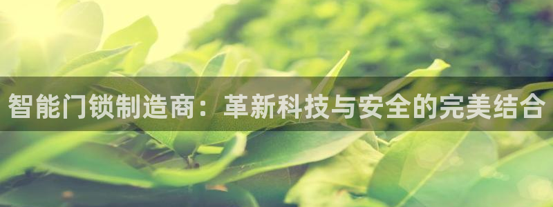 富联娱乐招商财判官333OO：智能门锁制造商：革新科技与安全