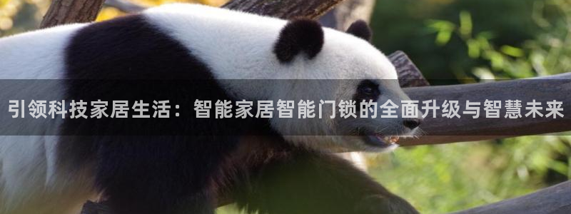 富联娱乐女团是谁的公司：引领科技家居生活：智能家居智能门锁的