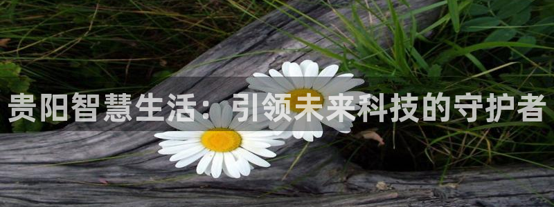 富联娱乐客户端官网下载：贵阳智慧生活：引领未来科技的守护者